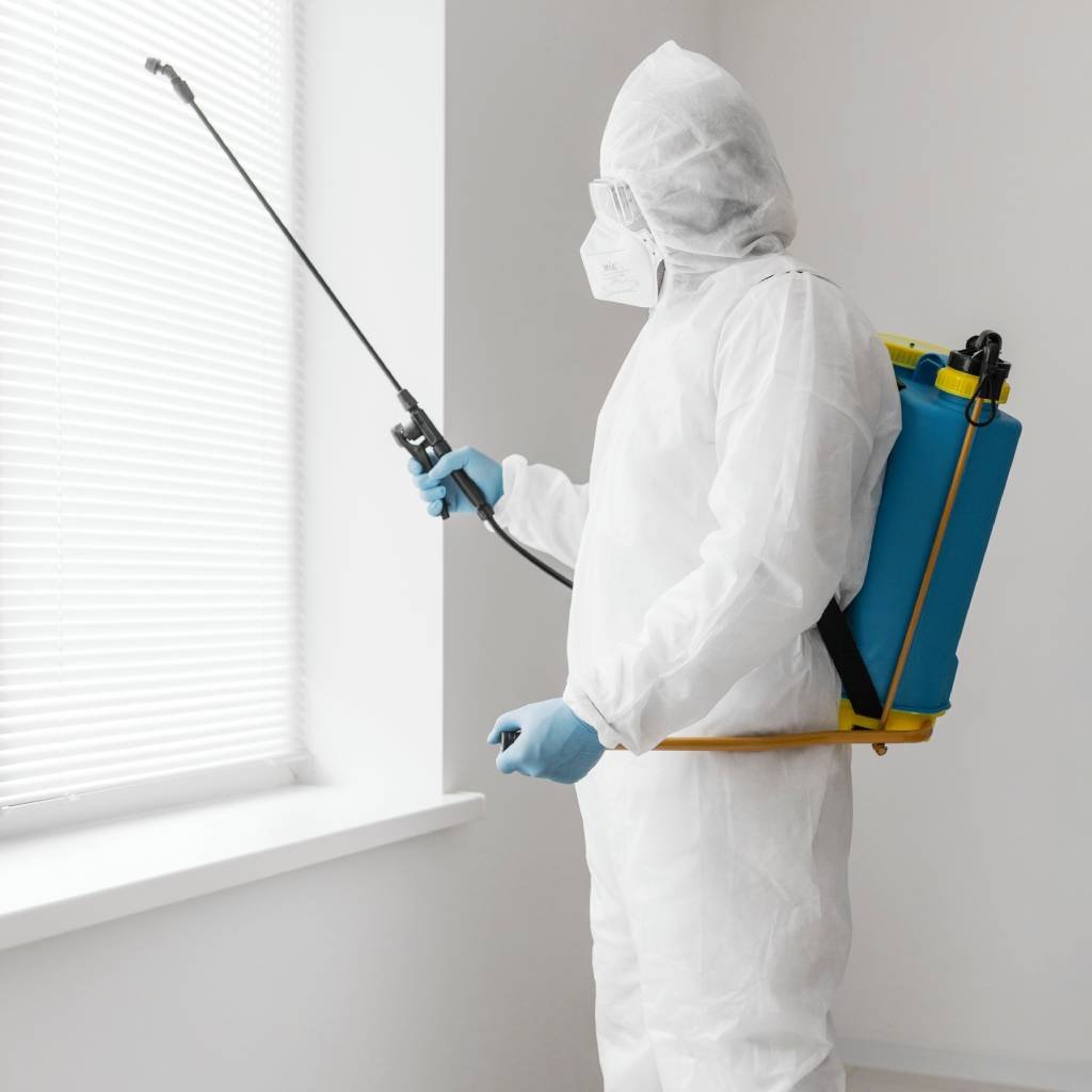 Pest Control Service