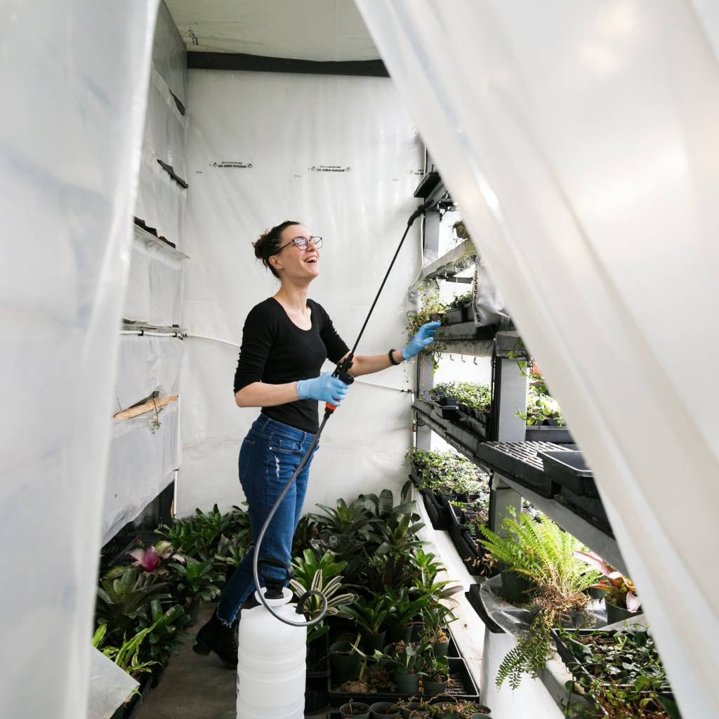 Terrace, Balcony & Portico Deep Clean