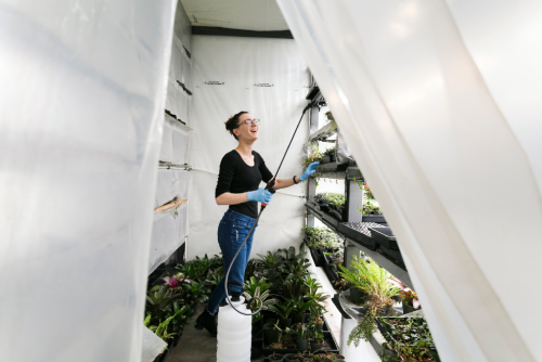 Terrace, Balcony, Portico Deep Clean
