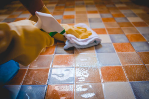Ceramic Floor/Wall Cleaning